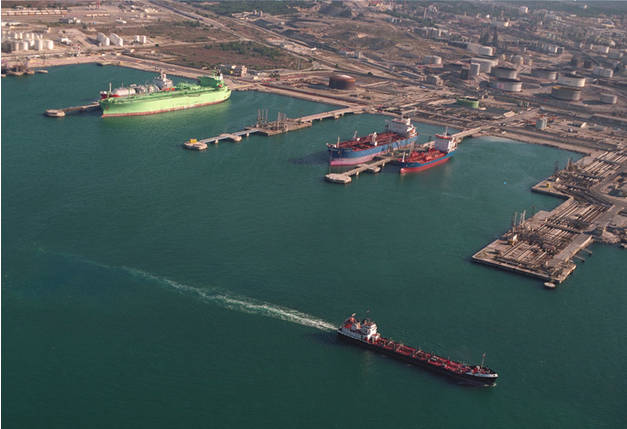 法国之光葡萄酒