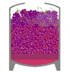 法国之光葡萄酒