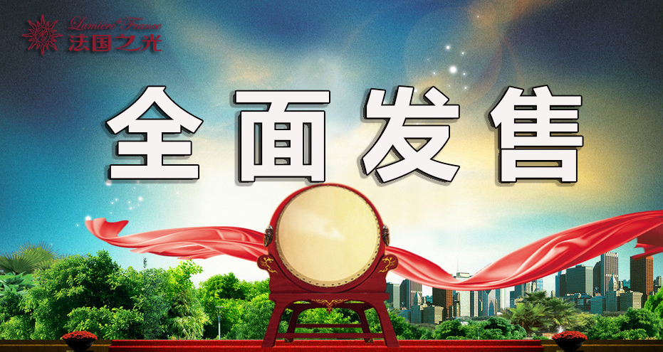 法国之光葡萄酒