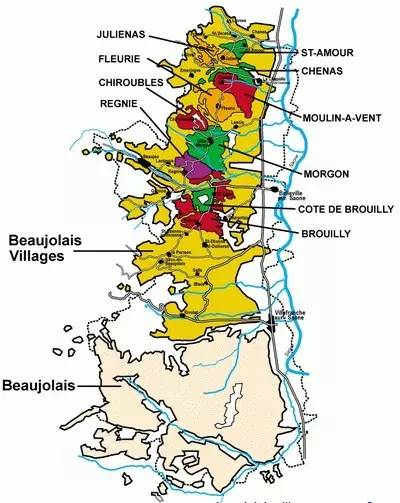 法国之光葡萄酒