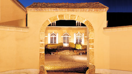 法国之光葡萄酒