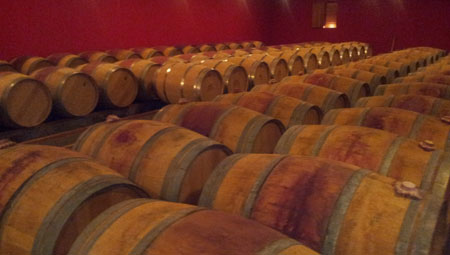 法国之光葡萄酒