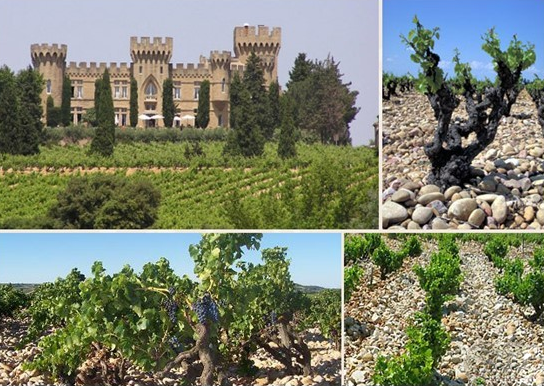 法国之光葡萄酒